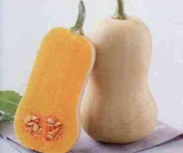 COURGE COMESTIBLE BUTTERNUT